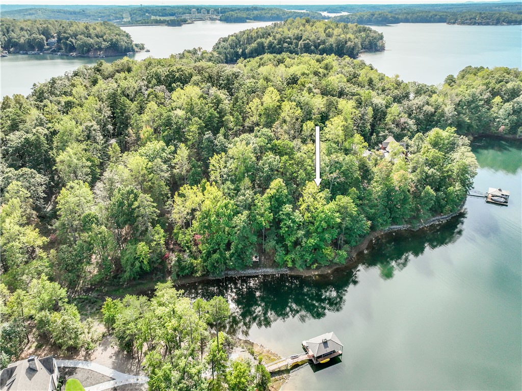 282 War Path Road Six Mile, SC 29682 - Photo 5 of 12 Gallery Image 5