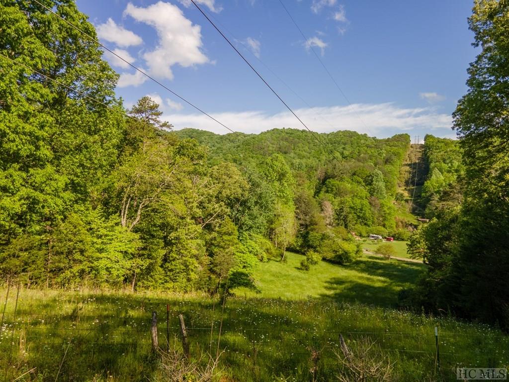 320 Cowee School Road Franklin, NC 28734 - Photo 12 of 64 Gallery Image 12