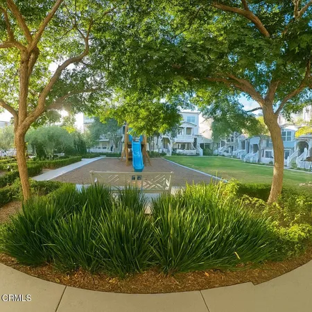 a view of a backyard with plants and large trees