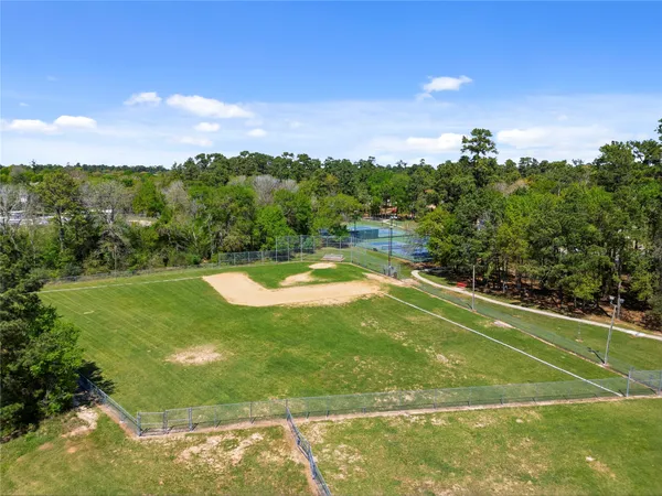 a tennis court that has a tree in the background