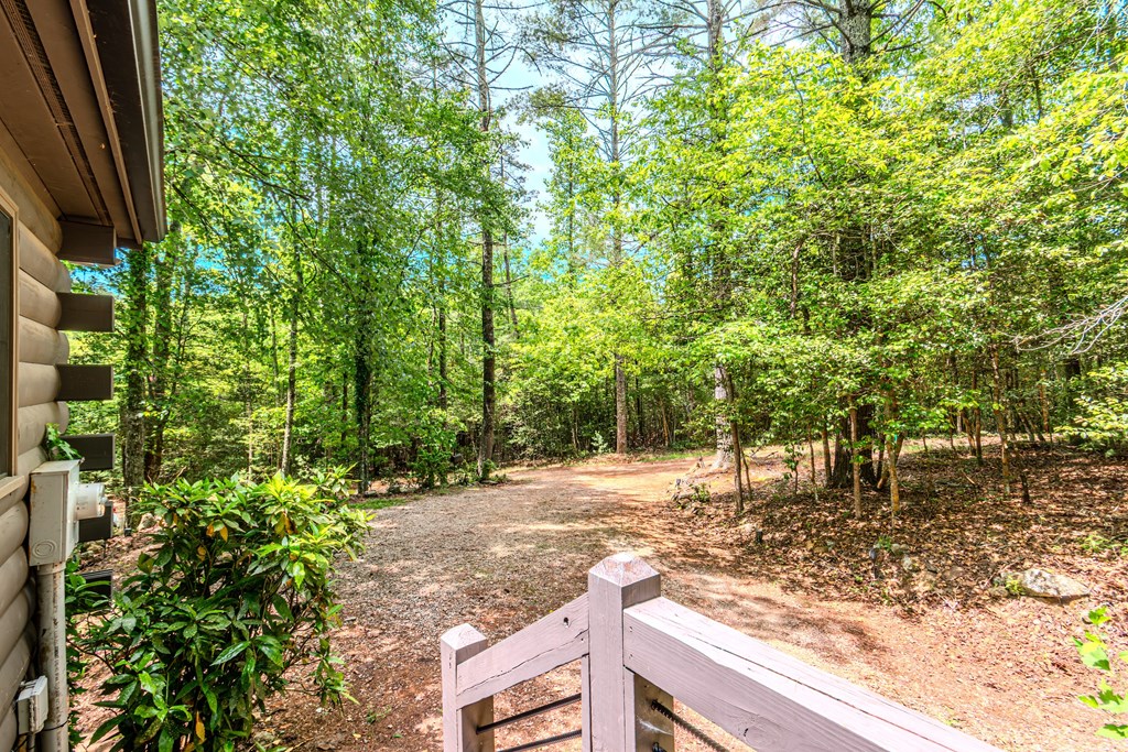 347 Dowd Road Morganton, GA 30560 - Photo 62 of 71 Gallery Image 62