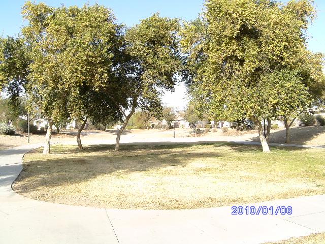 16144 West Grant Street Goodyear, AZ 85338 - Photo 2 of 14 Sides Green Belt