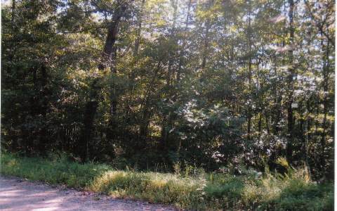 98 Laurel Crossing Blue Ridge, GA 30513 - Photo 1 of 1 Main View
