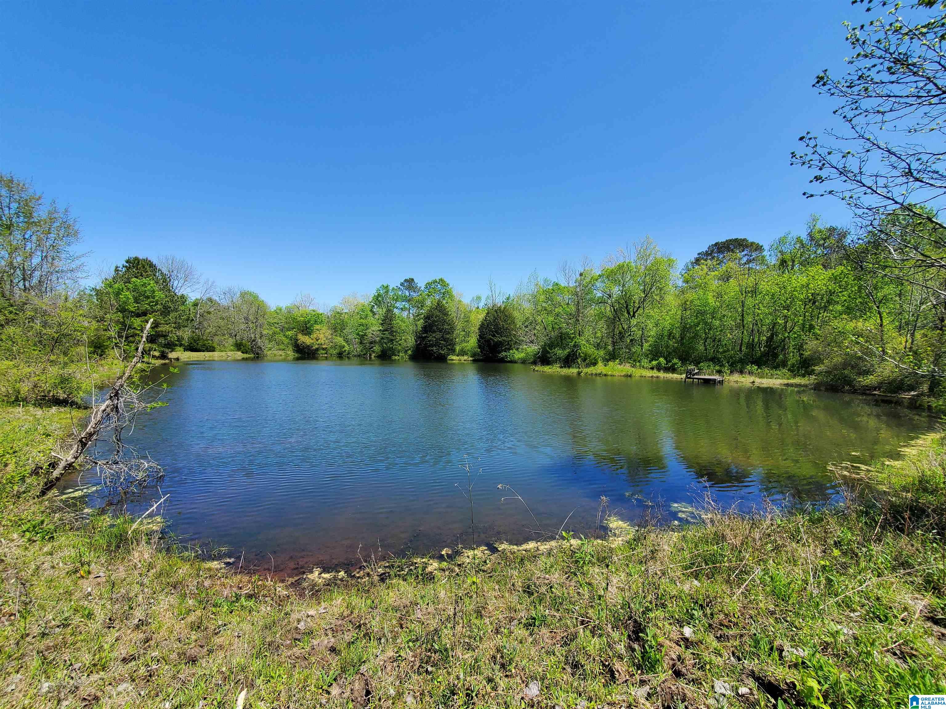 31 County Road Ashville, AL 35953 - Photo 3 of 14