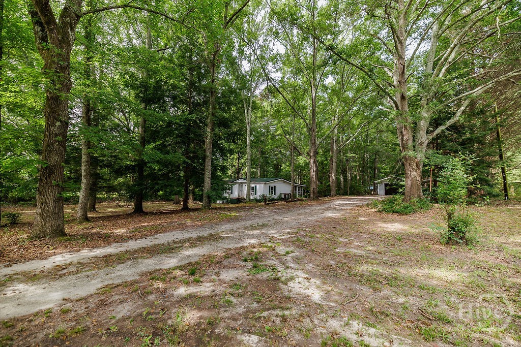 1541 Pete Dickens Road Bogart, GA 30622 - Photo 8 of 33 Gallery Image 8