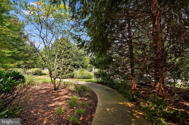 a view of a yard with a tree