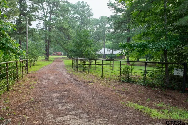 a view of a park with large trees