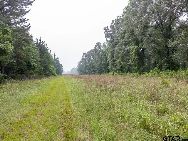 a view of a field of grass and trees