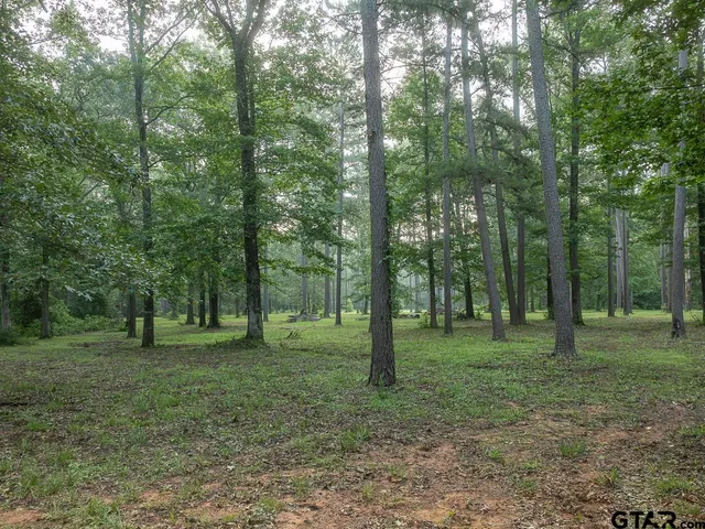 a view of a grassy field with trees in the background