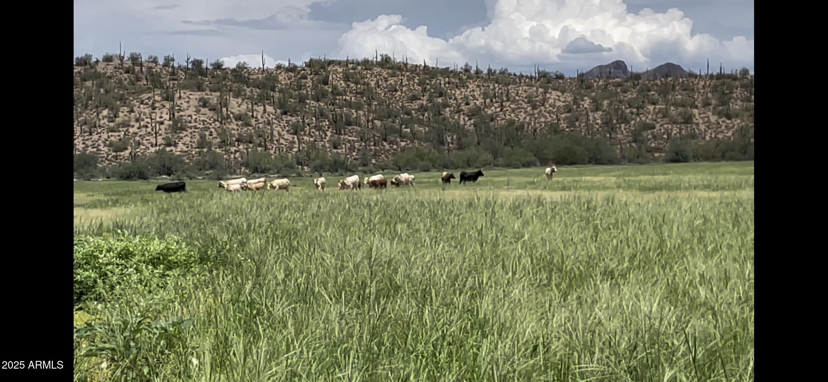 28952 East Price Road Florence, AZ 85132 - Photo 7 of 14 a view of a city
