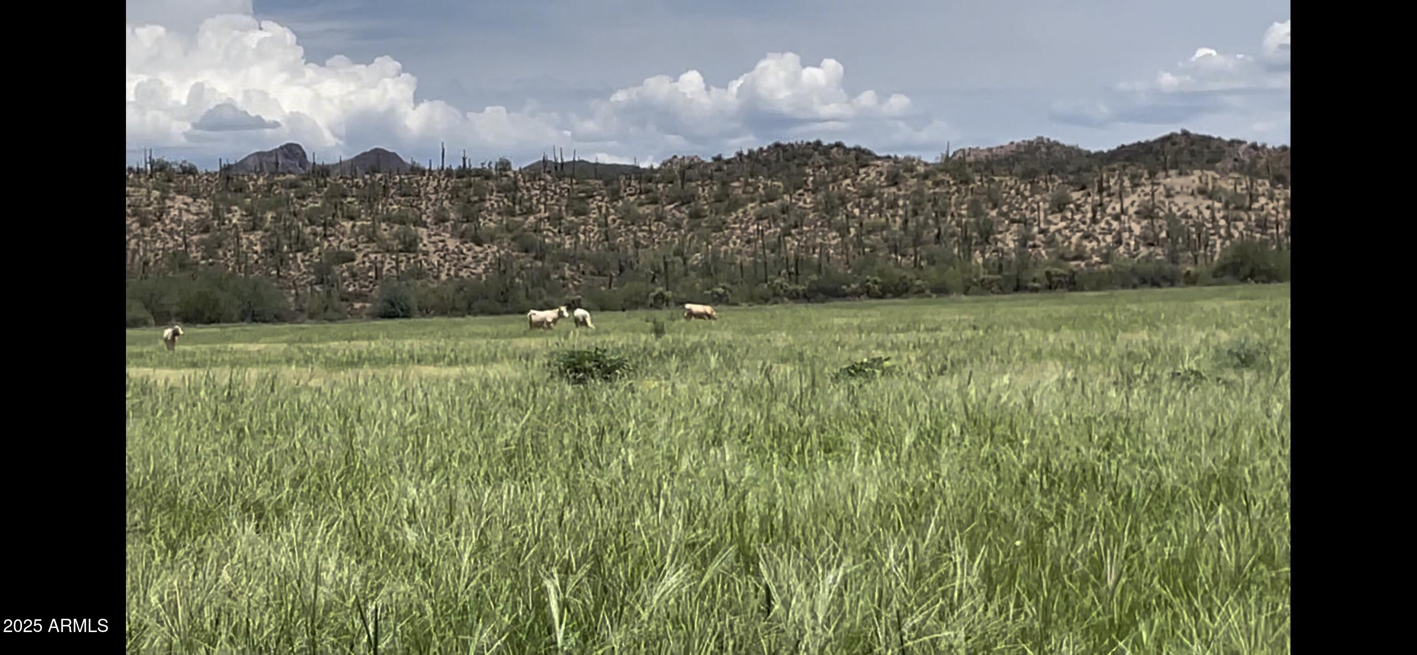 28952 East Price Road Florence, AZ 85132 - Photo 8 of 14 a view of a city