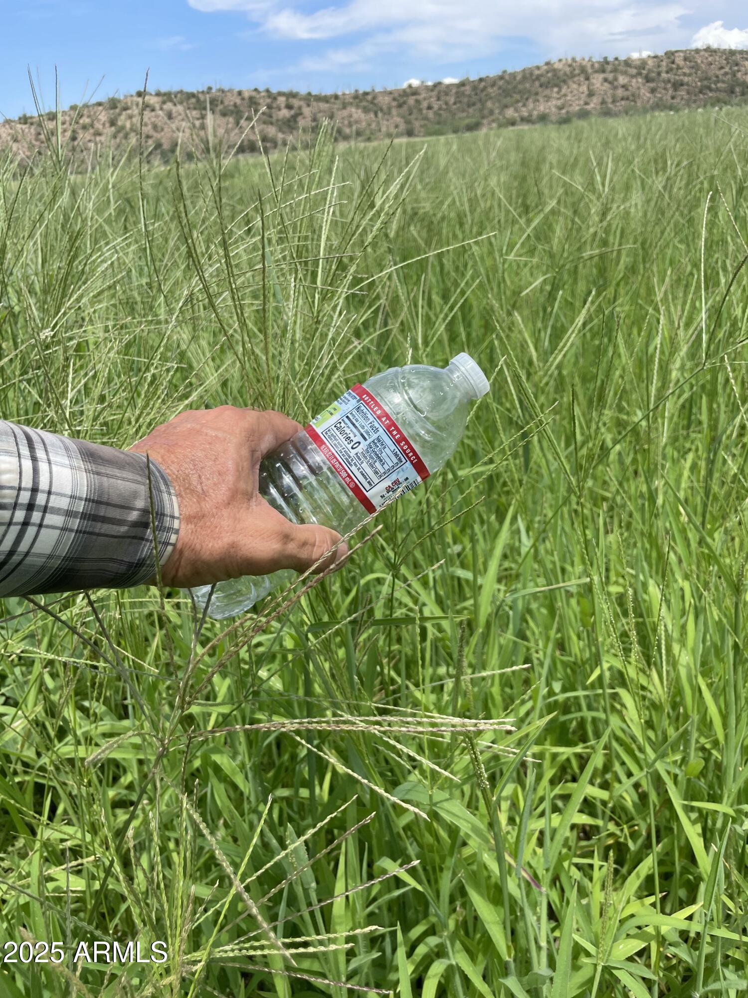 28952 East Price Road Florence, AZ 85132 - Photo 10 of 14 a view of a yard with plants