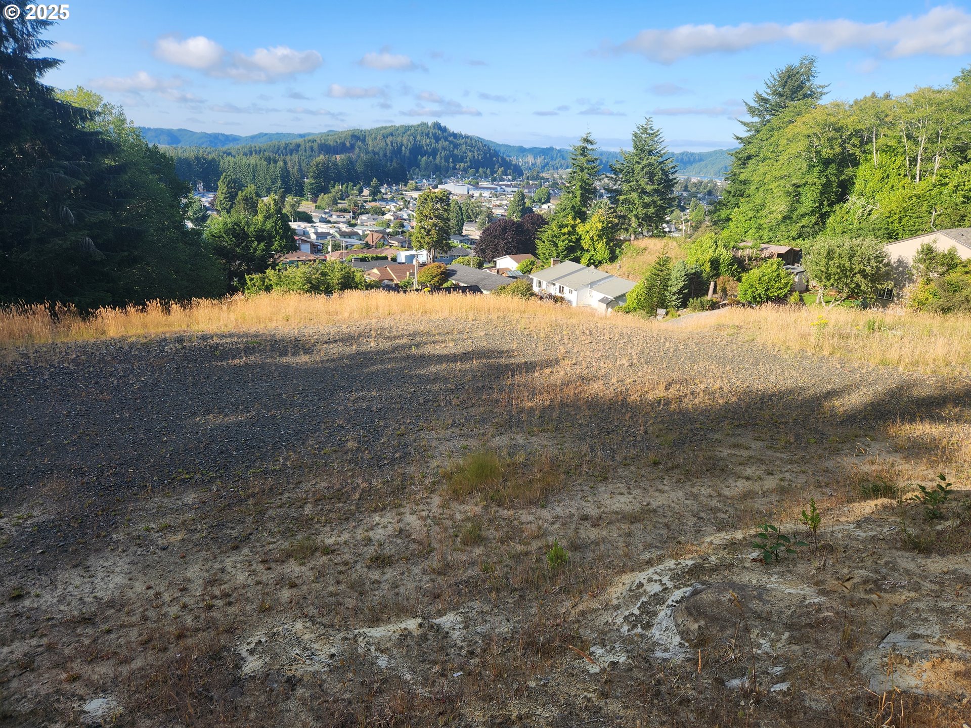 925 Bellevue Drive Reedsport, OR 97467 - Photo 11 of 12 a view of a yard with a lake view