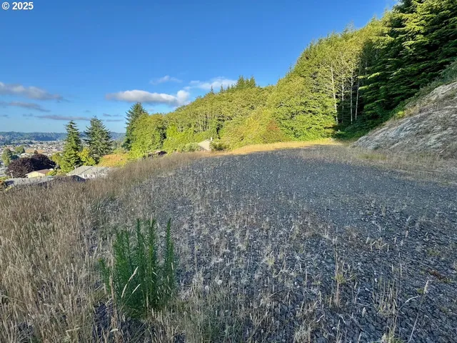 a view of a field with an trees