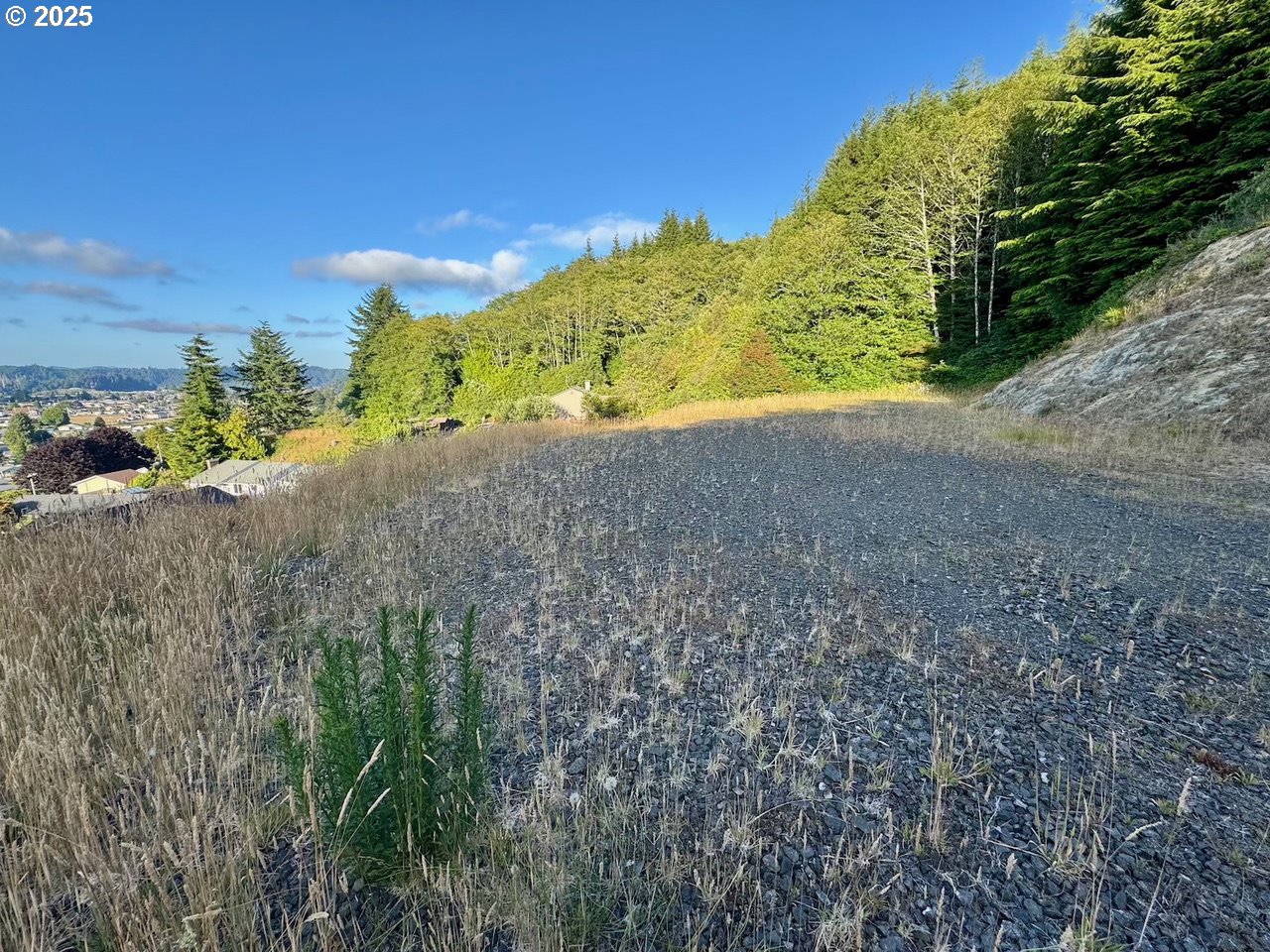 925 Bellevue Drive Reedsport, OR 97467 - Photo 2 of 12 a view of a field with an trees