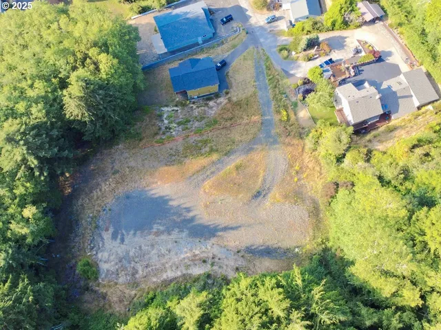 a view of a yard with plants