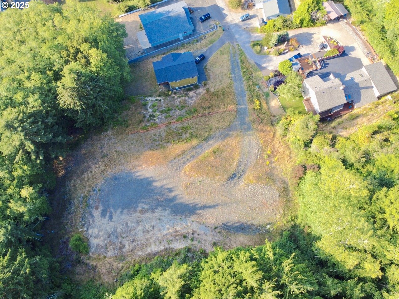 925 Bellevue Drive Reedsport, OR 97467 - Photo 3 of 12 a view of a yard with plants