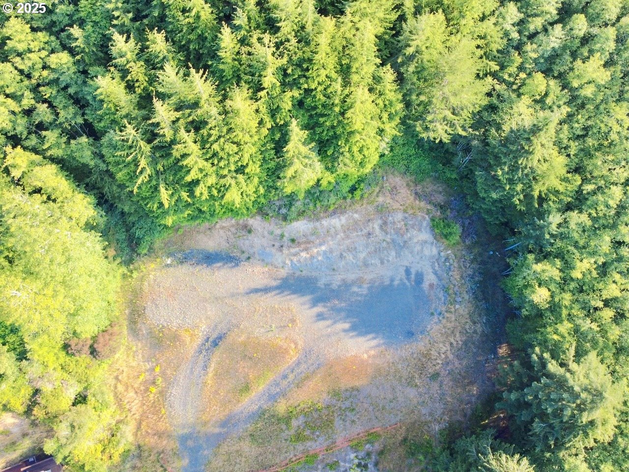 925 Bellevue Drive Reedsport, OR 97467 - Photo 5 of 12 a view of a pathway of a yard