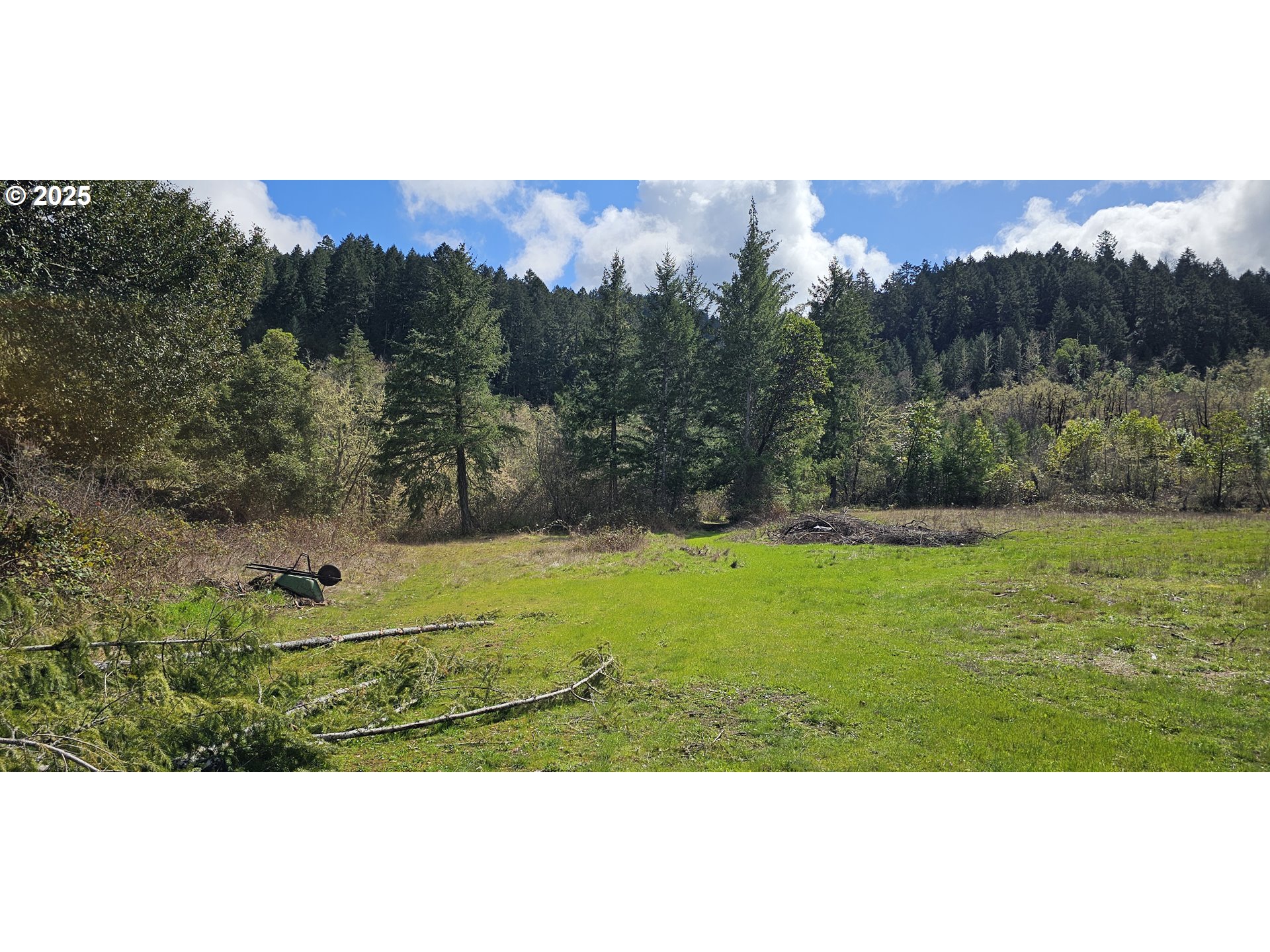 680 Cold Water Ranch Road Riddle, OR 97469 - Photo 4 of 9 a view of a yard with mountain