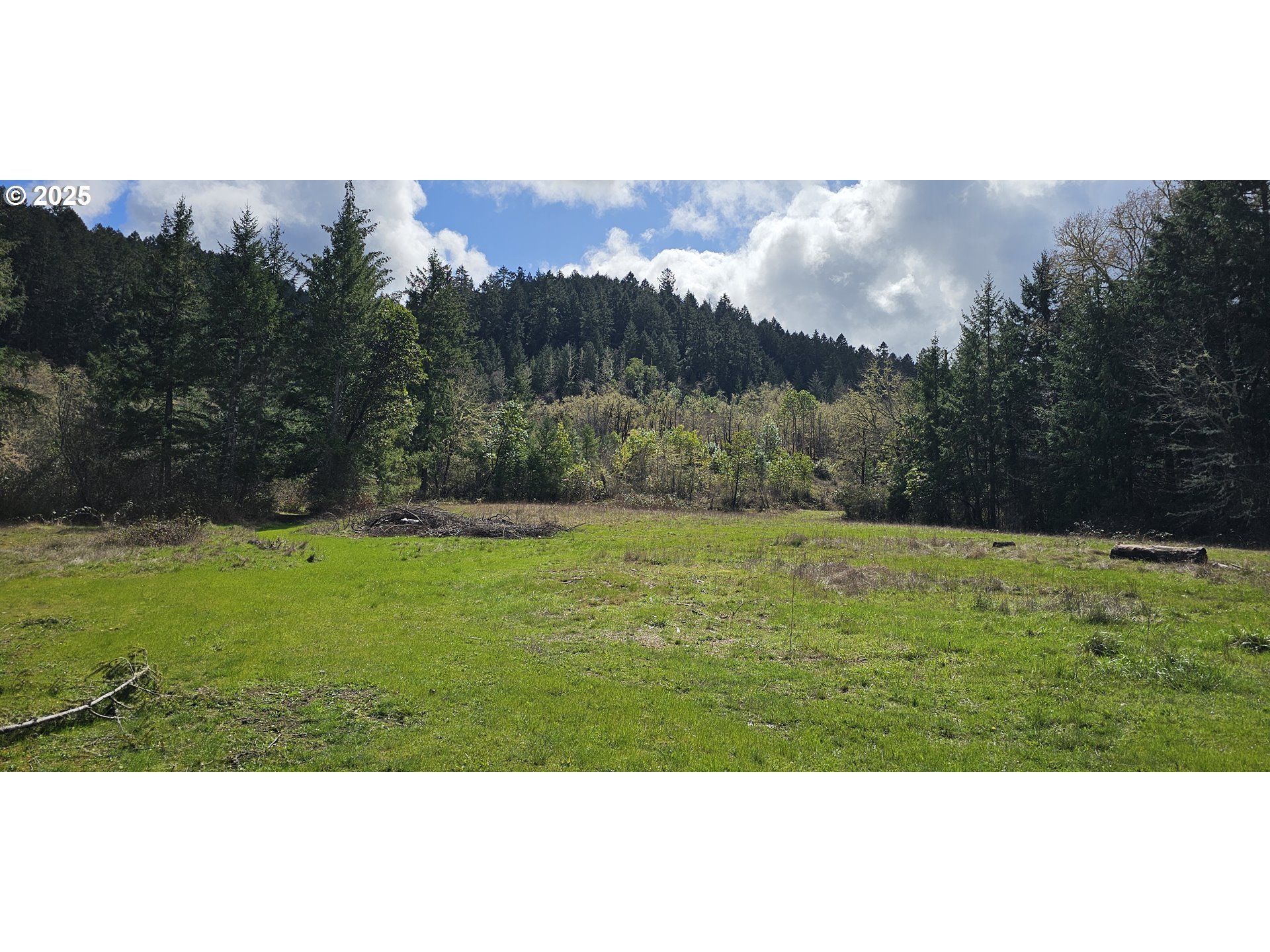 680 Cold Water Ranch Road Riddle, OR 97469 - Photo 5 of 9 a view of a yard