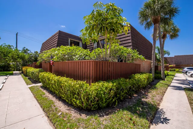a view of garden with plants