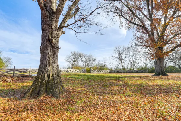 a view of a yard with an trees
