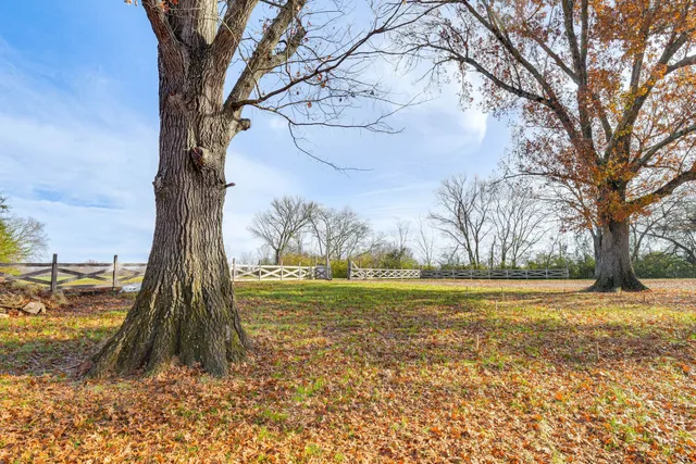 a view of a yard with an trees
