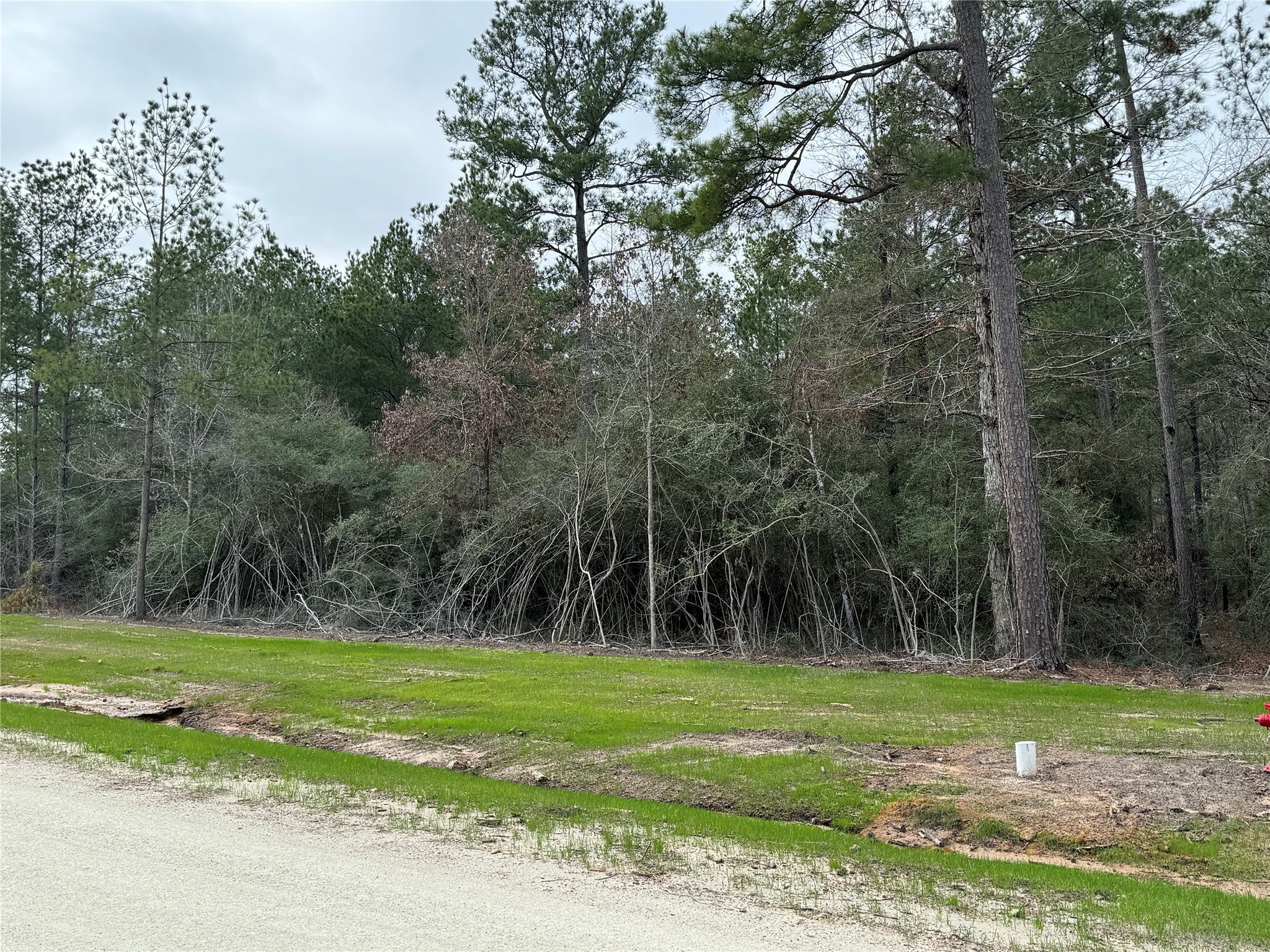 10621 Devotion Road Willis, TX 77378 - Photo 6 of 16 a view of a park