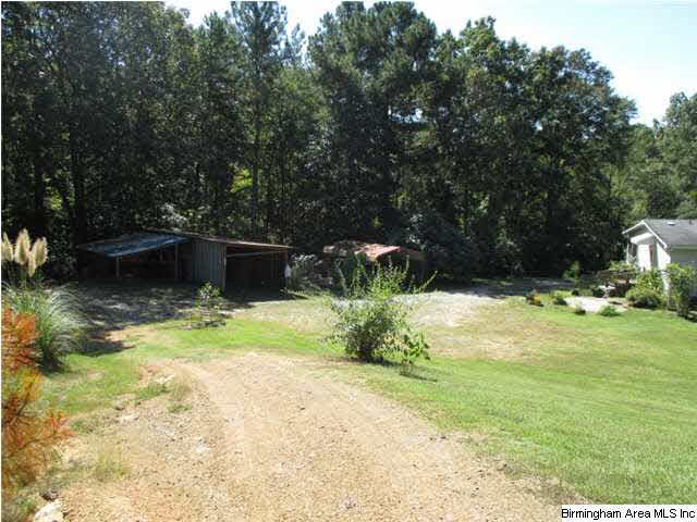 1082 Camp Winnataska Road Pell City, AL 35128 - Photo 6 of 14
