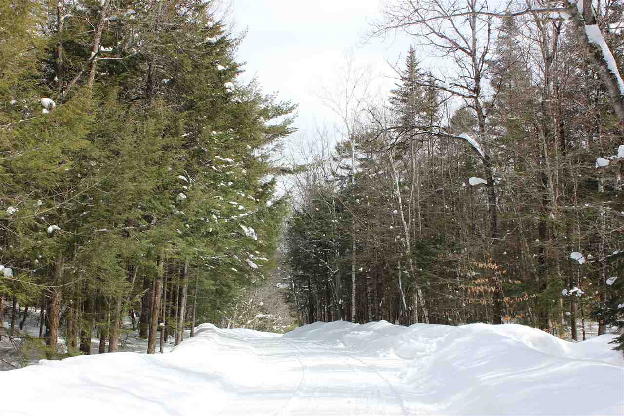 589 Glen Road, Unit LOT 36 Peru, VT 05152 - Photo 20 of 22