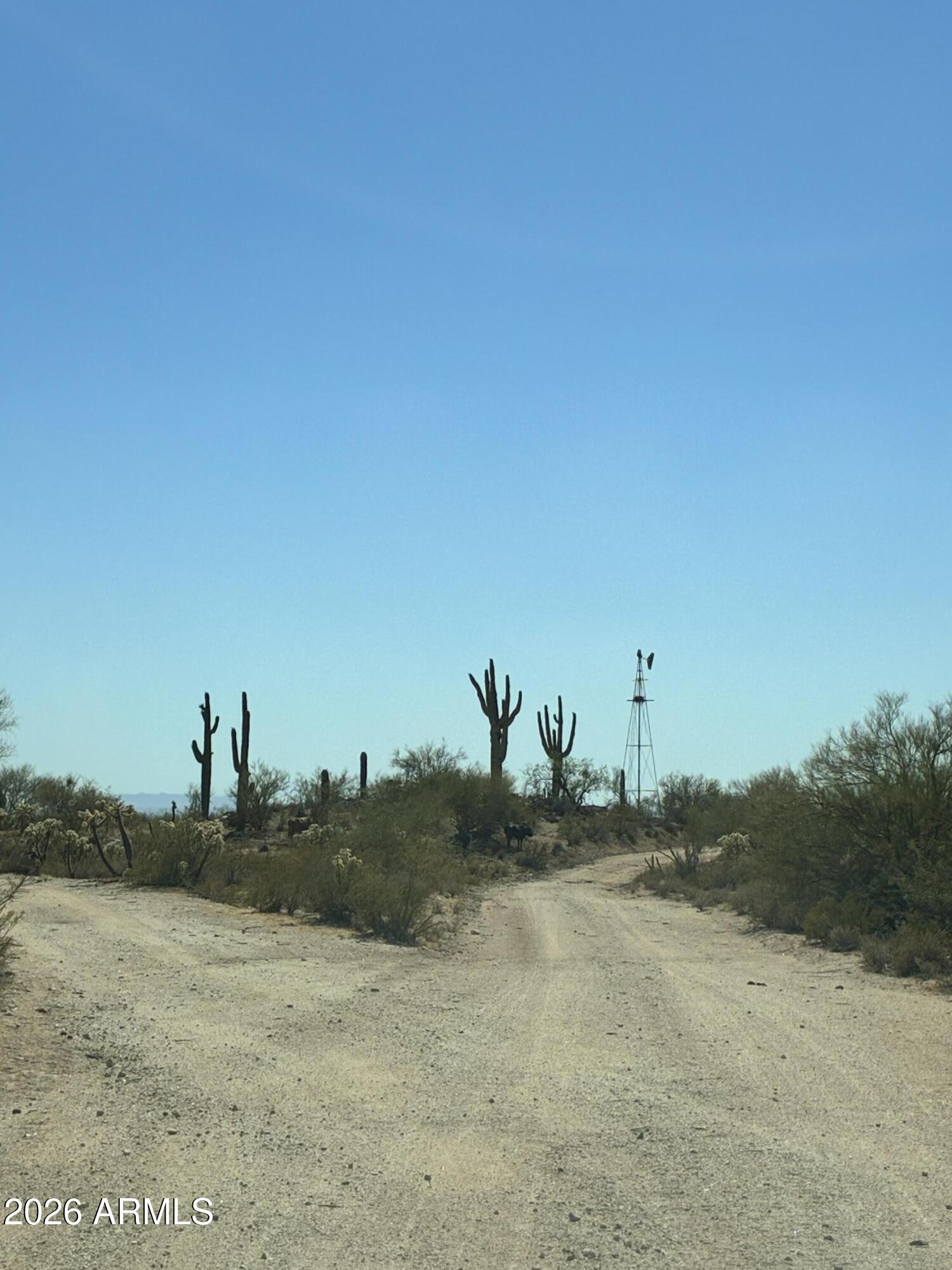 0 East Bartlett Road Florence, AZ 85132 - Photo 9 of 13