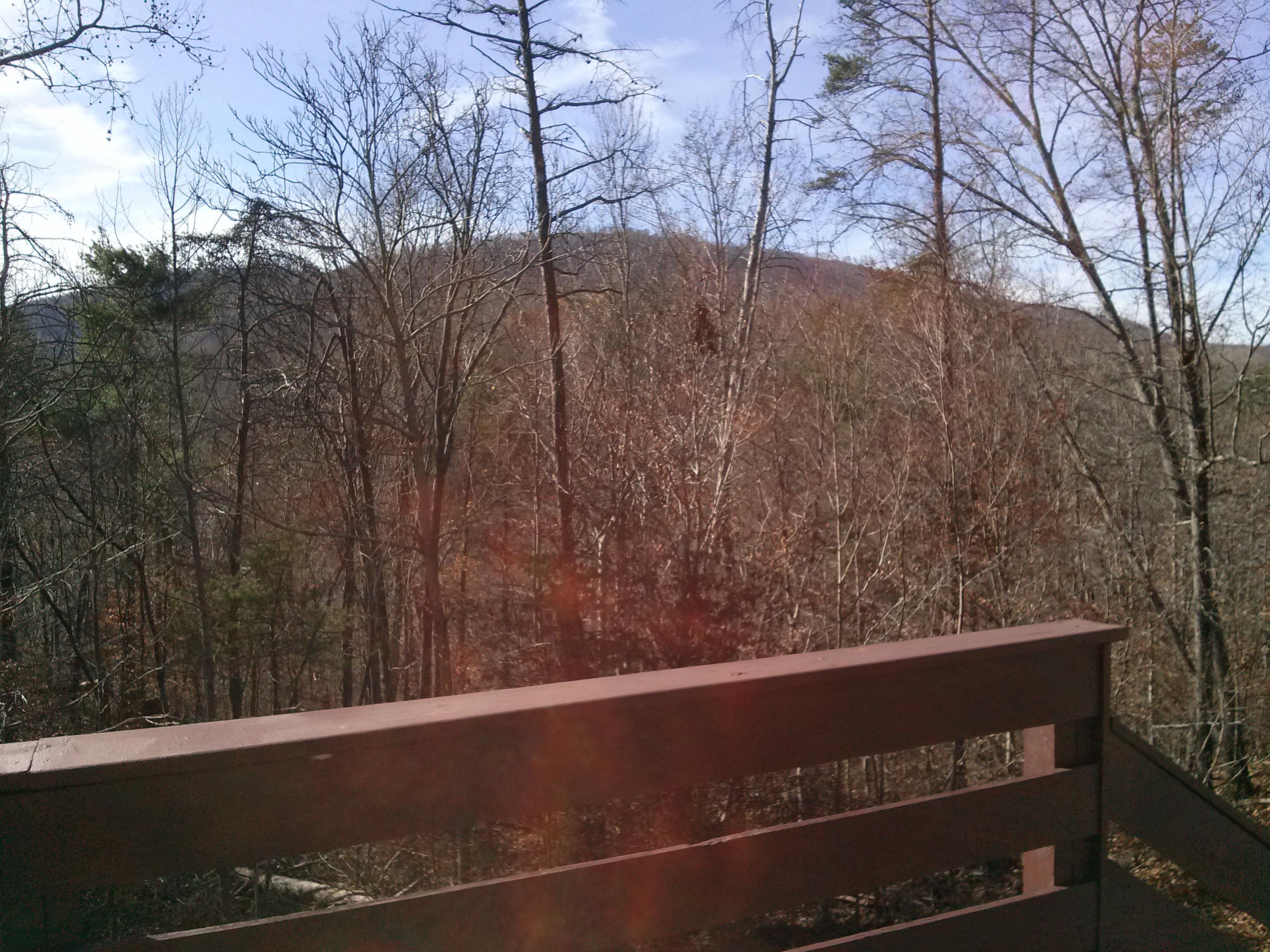 1191 Misty Ridge Lane Montvale, VA 24122 - Photo 12 of 18 view from deck