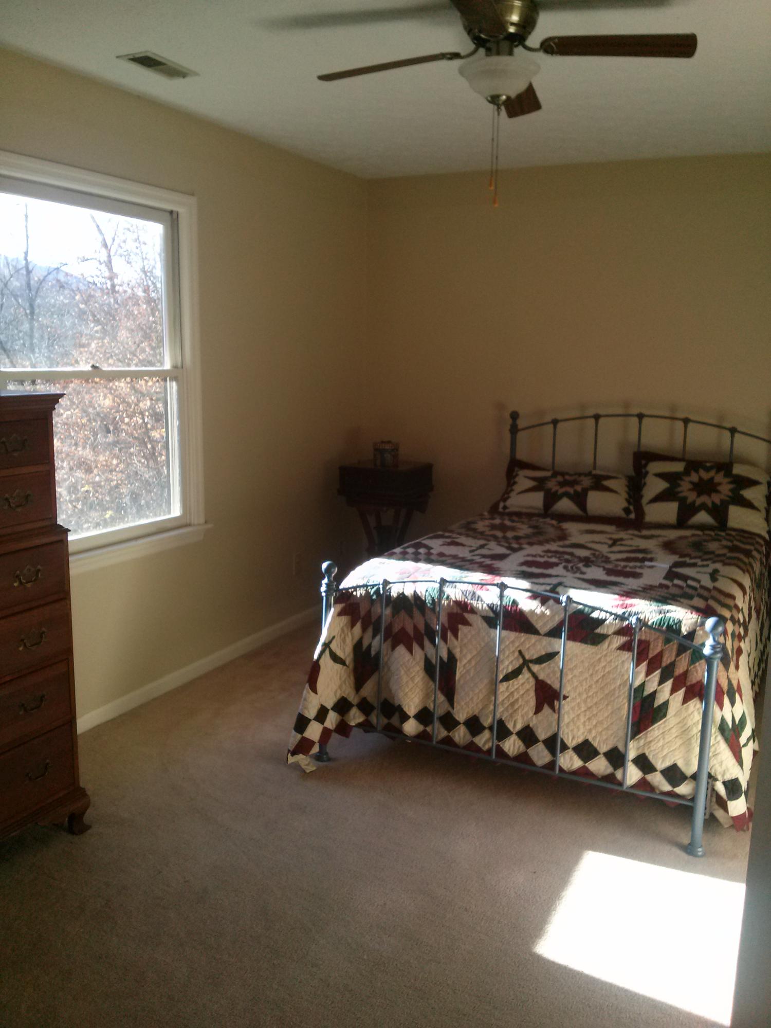 1191 Misty Ridge Lane Montvale, VA 24122 - Photo 10 of 18 bedroom