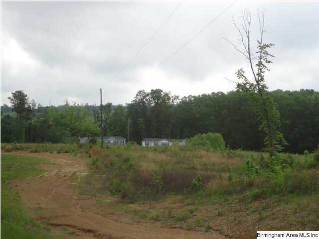 Mayo Road, Unit 96 Altoona, AL 35952 - Photo 16 of 23