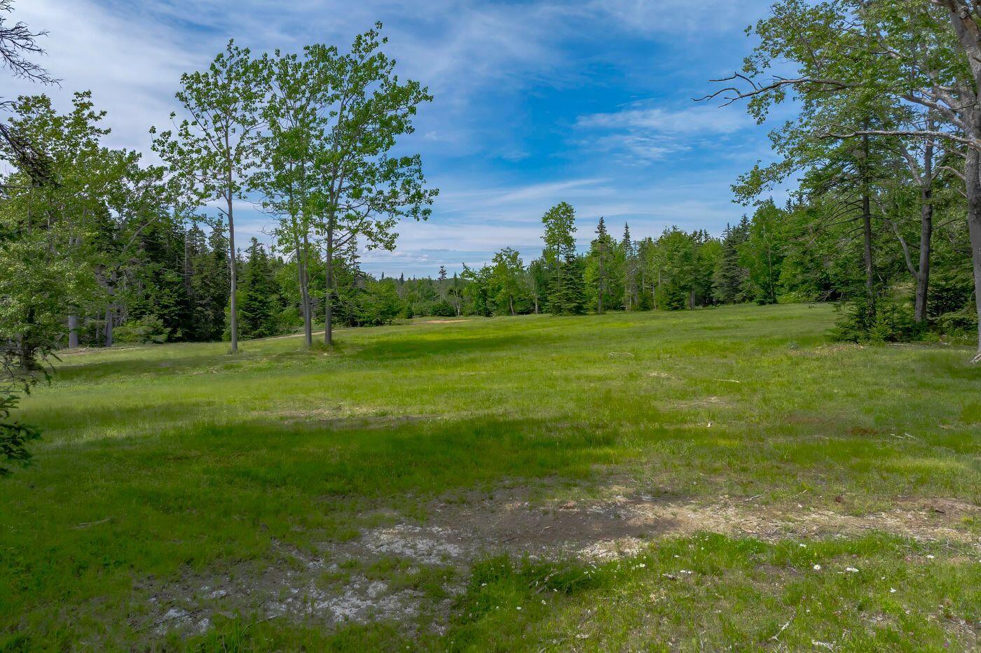 792 Tremont Road Bernard, ME 04612 - Photo 8 of 19