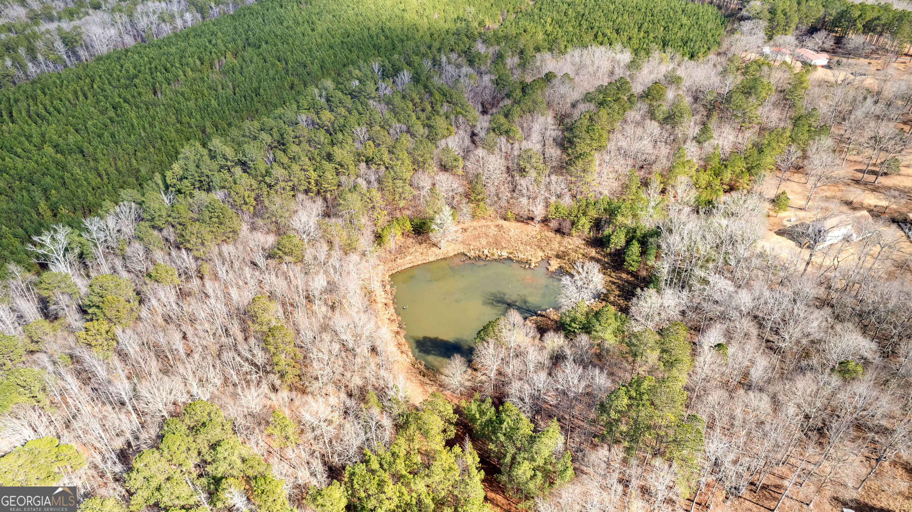 374 Gordon School Road Thomaston, GA 30286 - Photo 14 of 31 a view of outdoor space and garden
