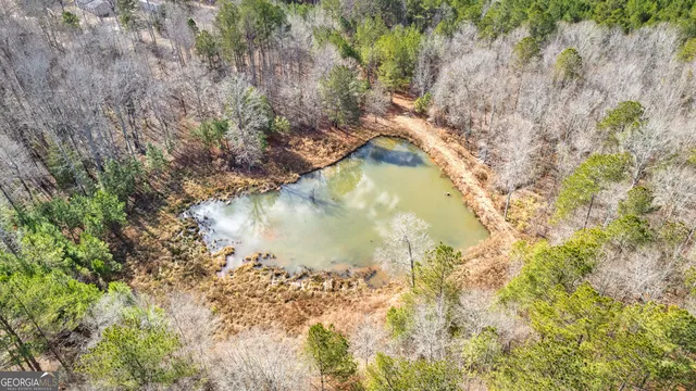 a view of a lake in a forest