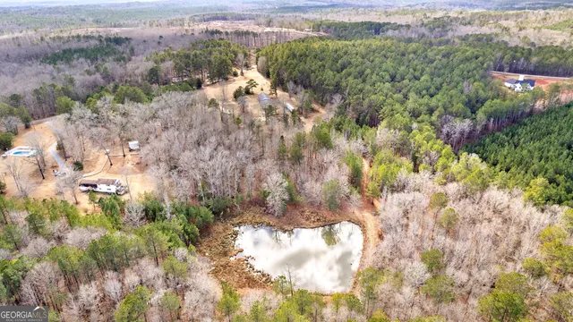 a view of a yard with a tree