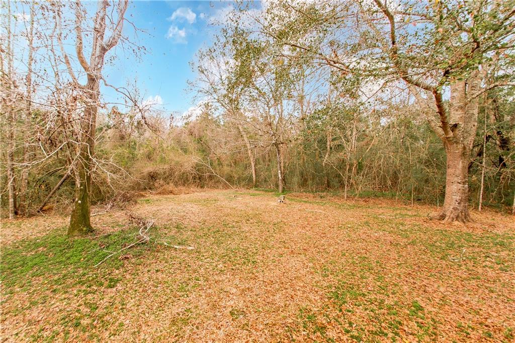 23136 P J Tooley Road Bush, LA 70431 - Photo 20 of 25