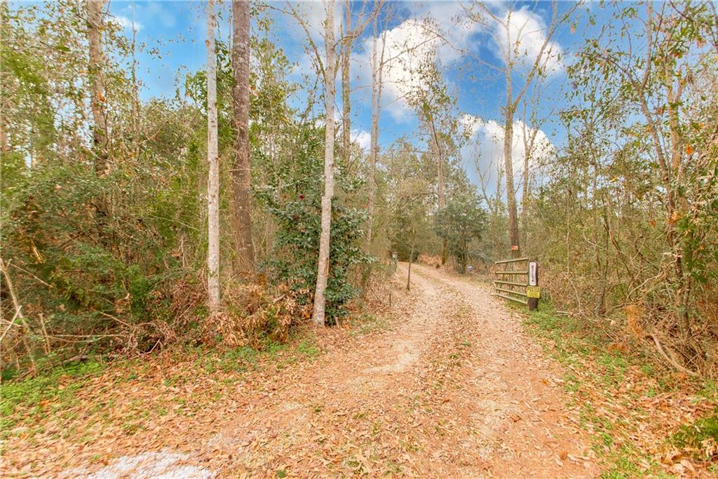 23136 P J Tooley Road Bush, LA 70431 - Photo 2 of 25
