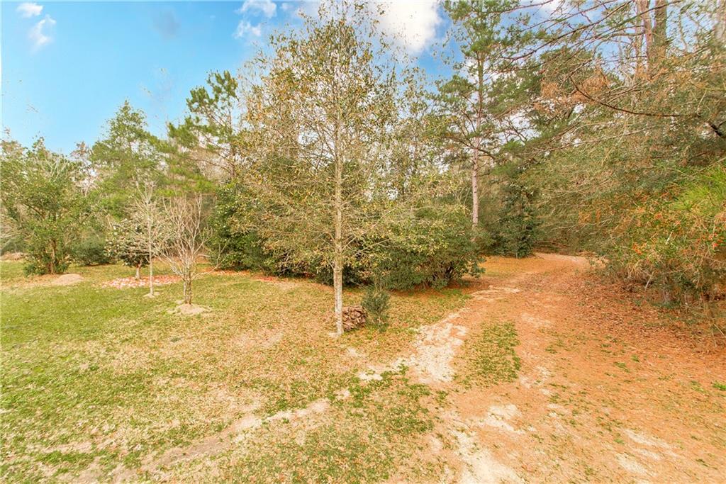 23136 P J Tooley Road Bush, LA 70431 - Photo 23 of 25