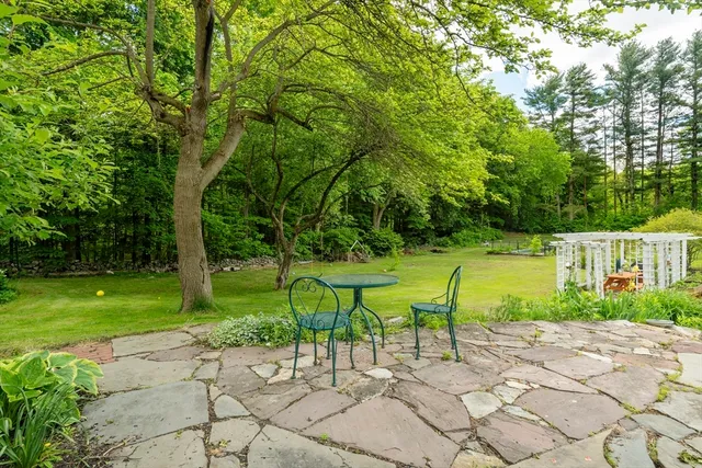 a view of yard with tree