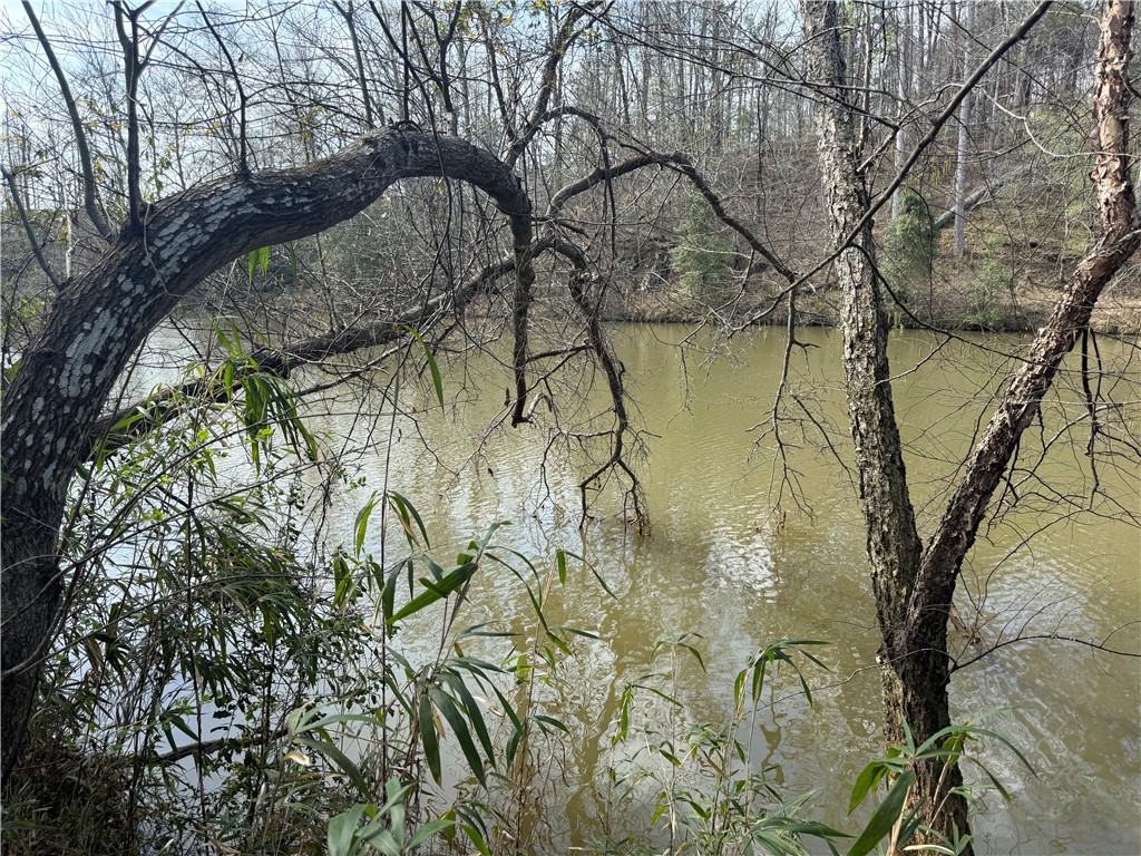 0 Holland Ford Road Pelzer, SC 29669 - Photo 7 of 35