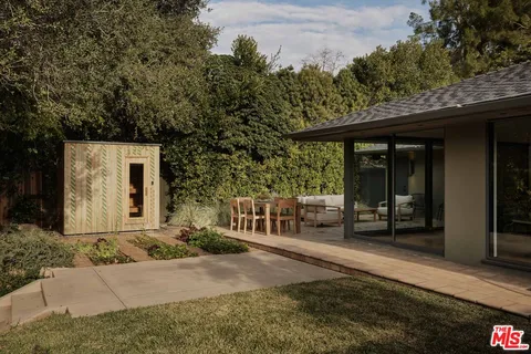 a view of a yard with plants and large trees