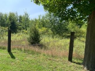 V/l Grossman Road Manchester, MI 48158 - Photo 4 of 6
