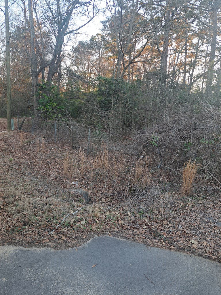 980 Babette Road Sumter, SC 29154 - Photo 3 of 4 Gallery Image 3