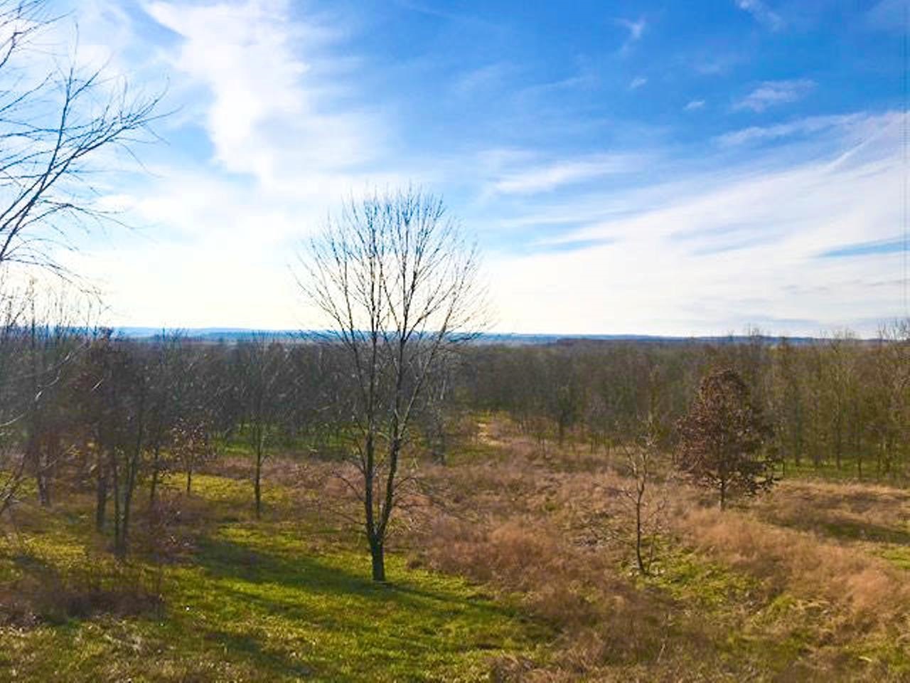 10100 New Harmony Road Elberfeld, IN 47613 - Photo 8 of 11