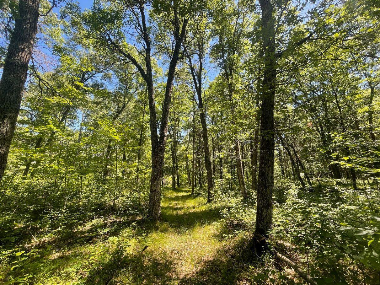 12997 East Mail Road Gordon, WI 54838 - Photo 61 of 65
