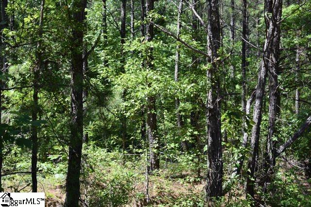 105 Mattie Campbell Road, Unit LOT 6 Honea Path, SC 29654 - Photo 2 of 13 Gallery Image 2