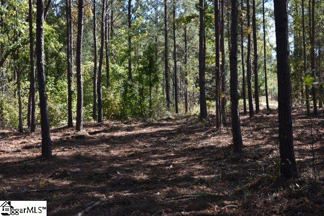 105 Mattie Campbell Road, Unit LOT 6 Honea Path, SC 29654 - Photo 11 of 13 Gallery Image 11